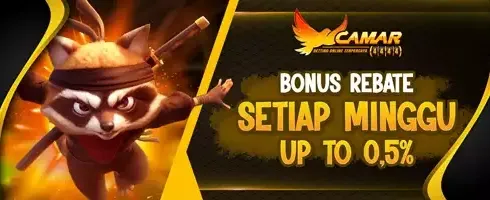 VIP Rebate Slot Mingguan 0.5% promotion banner